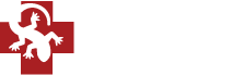 Amphibious Medics