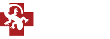 Amphibious Medics